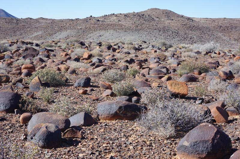 0 Bedroom Property for Sale in Calvinia Rural Northern Cape